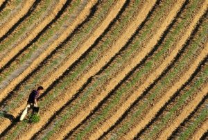 Με την επιτυχή ολοκλήρωση ενός πενταετούς κύκλου του προγράμματος, η γη θα παραχωρείται στους αγρότες 