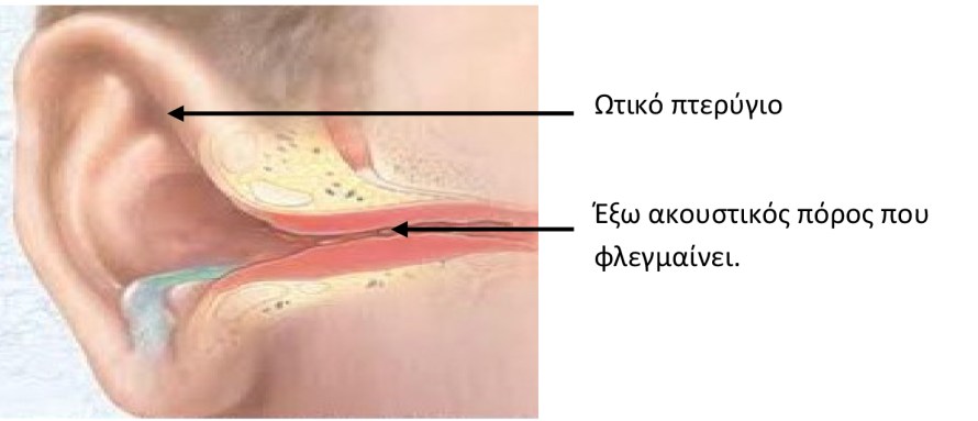 ΚΑΛΟΚΑΙΡΙ ΚΑΙ ΩΤΙΤΙΔΕΣ-1