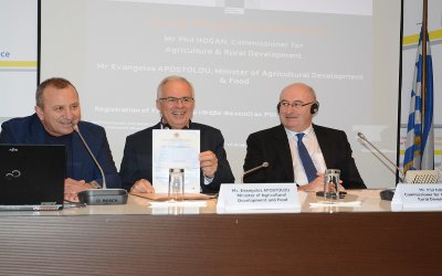 papavasiliou-apostolou-hogan-fava